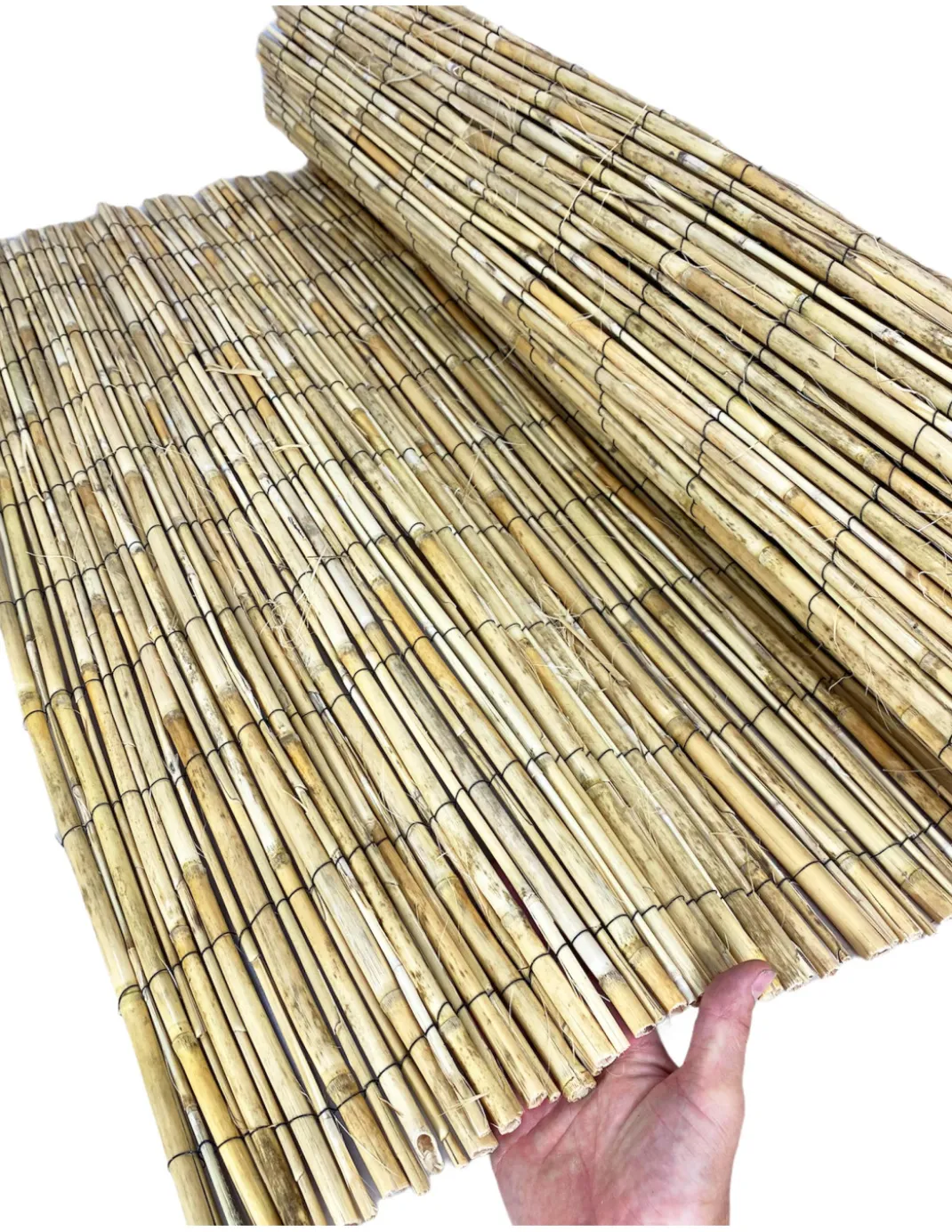 ARELLA PRIVACY Premium © in bamboo CANNICCIO arelle CANNE diametro fino a 1 cm. per RECINZIONE ombra in 8 MISURE