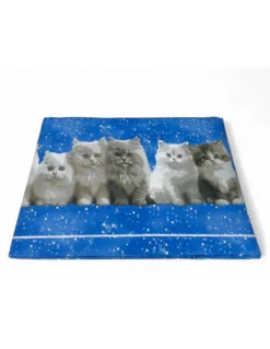 Completo Lenzuola Gattini Blu - Stampa Realistica Teneri Gatti - 100% Cotone - Made in Italy, Lavabile