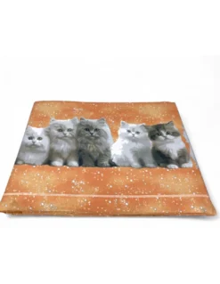 Completo Lenzuola Gattini Salmone - Stampa Dolce e Realistica - 100% Cotone - Made in Italy, Lavabile