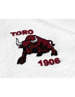 COPPIA ASCIUGAMANI ricamati TORO 1906 e cartolina TORINO È