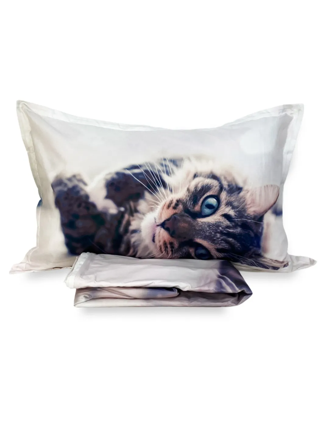 COPRIPIUMINO Rasatello HD FOTOGRAFICO GATTO sdraiato FELIX