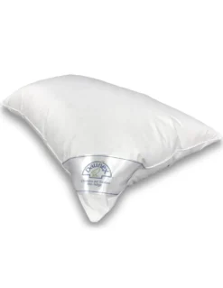 GUANCIALE PIUMA PIUMINO OCA ISSIMO DAUNEX CON FEDERA TEXFAMILY MASSAGGIANTE