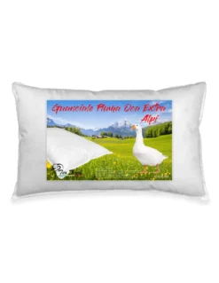 GUANCIALE PIUMA PIUMINO OCA TEX TIROL © ALPI made in Italy
