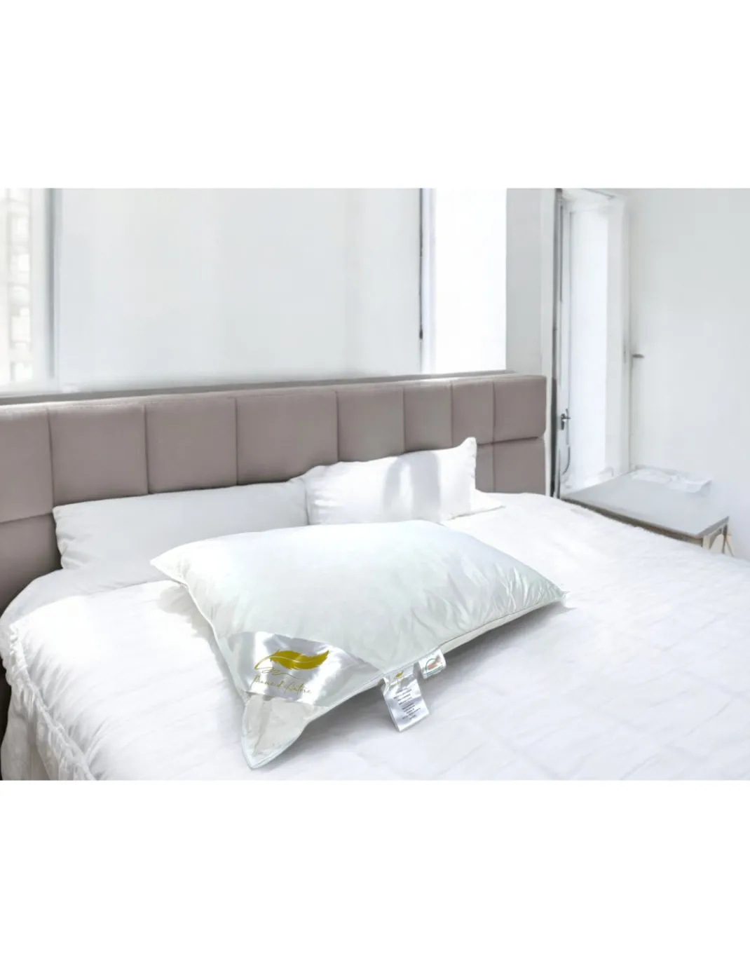 Guanciali Piume d'Autore, Set di 2 Cuscini Letto Matrimoniale Piuma d'Oca 50x80 cm, 1100g, Morbidi, Ipoallergenici e Ergonomici