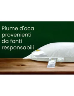 Guanciali Piume d'Autore, Set di 2 Cuscini Letto Matrimoniale Piuma d'Oca 50x80 cm, 1100g, Morbidi, Ipoallergenici e Ergonomici