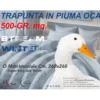 Piumone Matrimoniale Invernale Stream 500 gr - Piumino 80% Piuma 20% Piumino - Fantasia Floreale Verde
