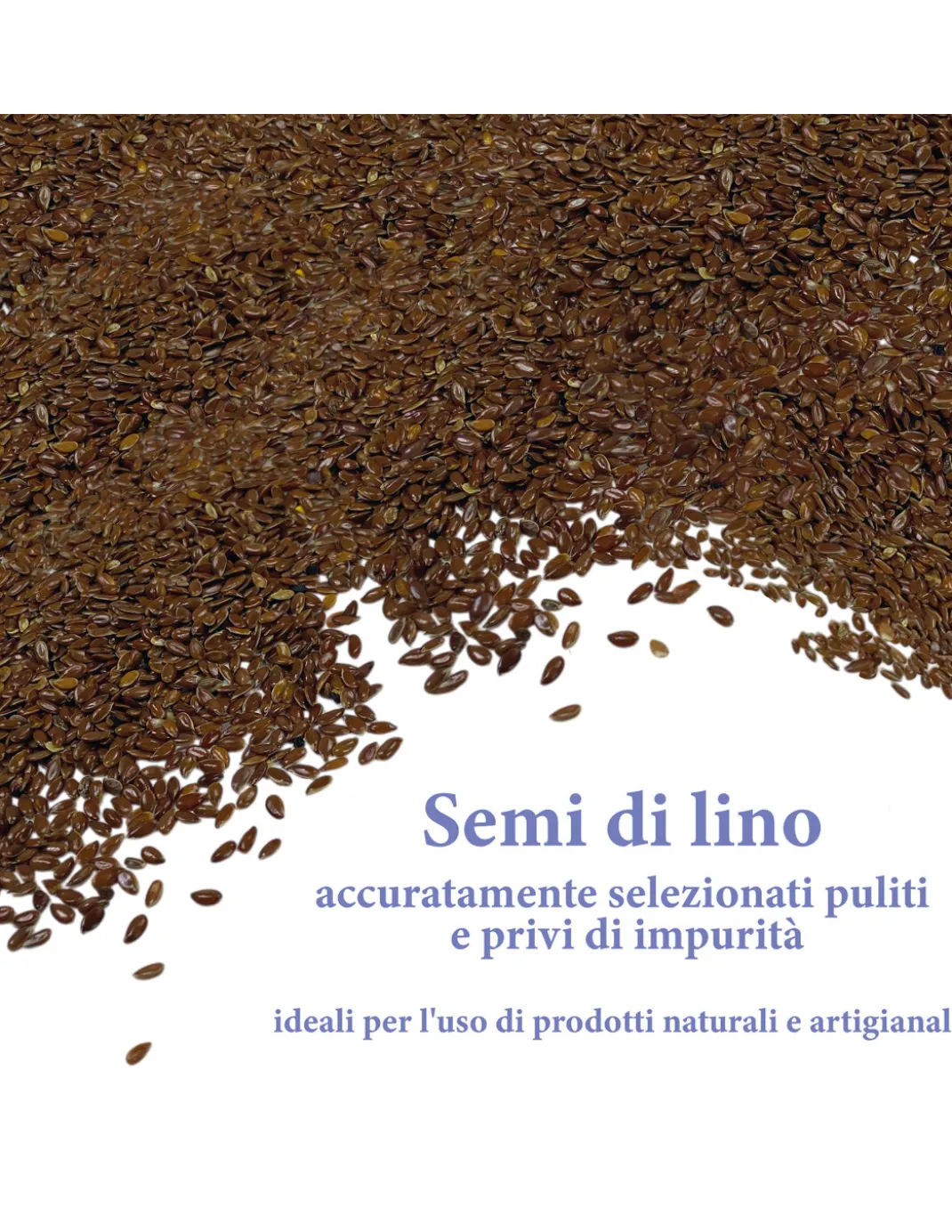 Semi di Lino Naturali Lavati e Sterilizzati β Per Cuscinetti Termici, Impacchi Cosmetici e Uso Artigianale