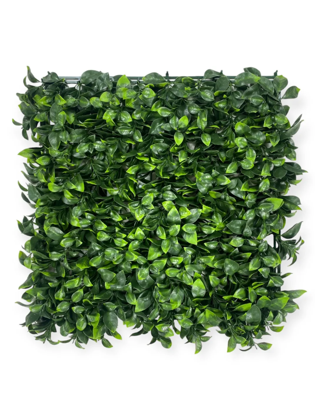 SIEPE Decorativa da Parete Finta Artificiale a Foglie per Muri e Balconi Ornamentale da Interno e da esterno Perù