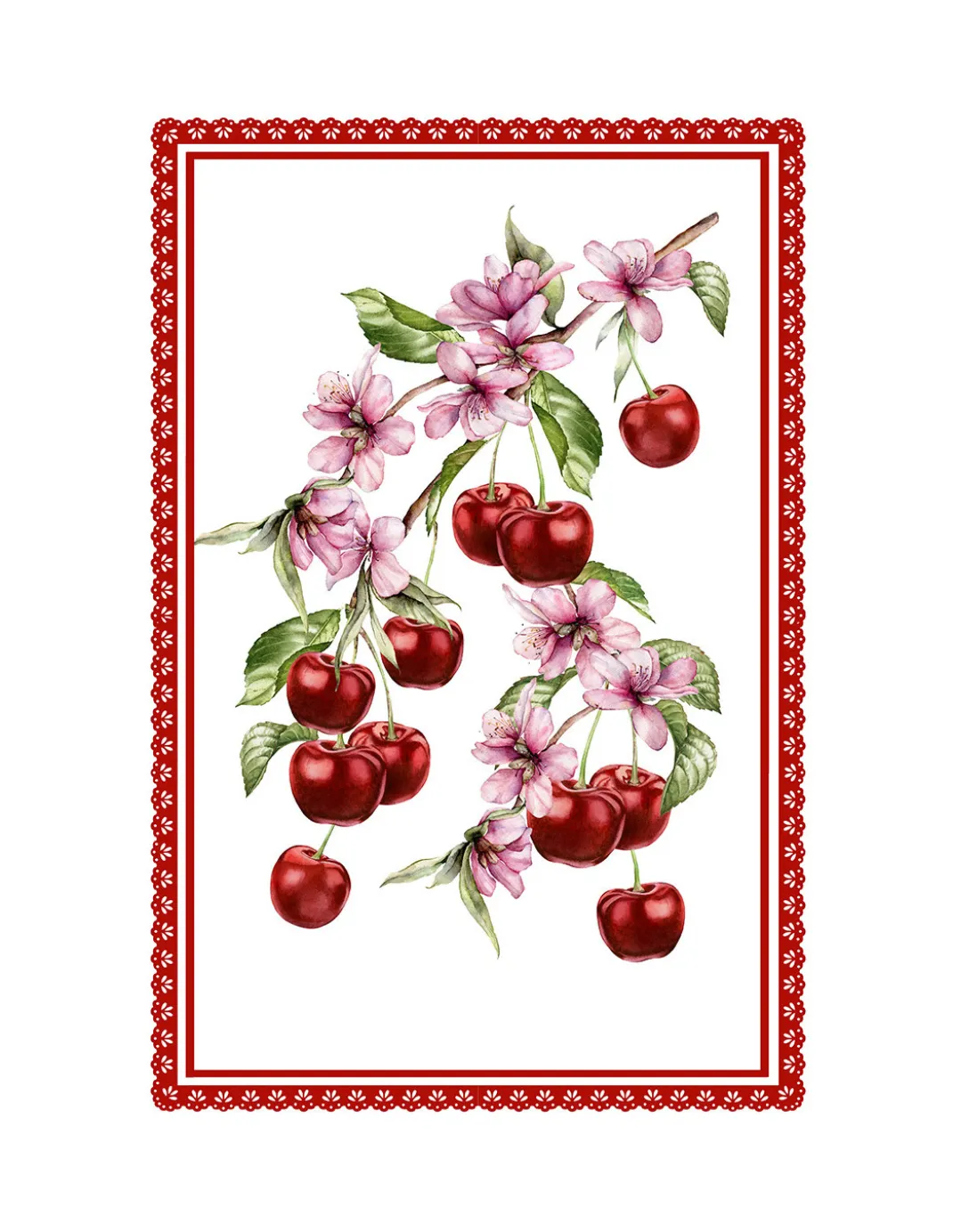 Strofinacci Cucina Cotone Set 5 Pezzi 50x70 cm - Fantasie Floreali e Gatti - con Asola