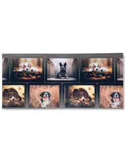 TAPPETO Runner da CUCINA Passatoia Antiscivolo CANE Cani Made in Italy