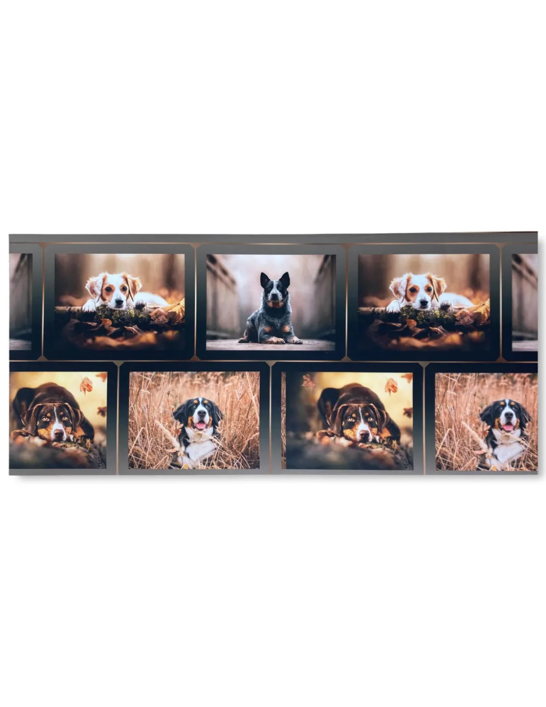 TAPPETO Runner da CUCINA Passatoia Antiscivolo CANE Cani Made in Italy