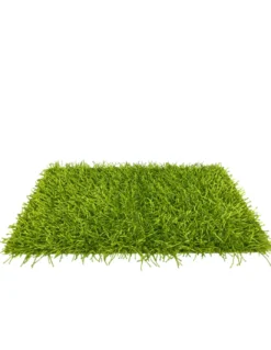 Tappeto Shaggy Verde Moderno - Pelo Lungo 6 cm - Antiscivolo, 12 Misure - Annodato a Mano, Morbido e Resistente