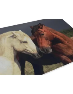 TAPPETO ZERBINO DIGITAL FRIENDS CM.40X60 CAVALLO CAVALLI