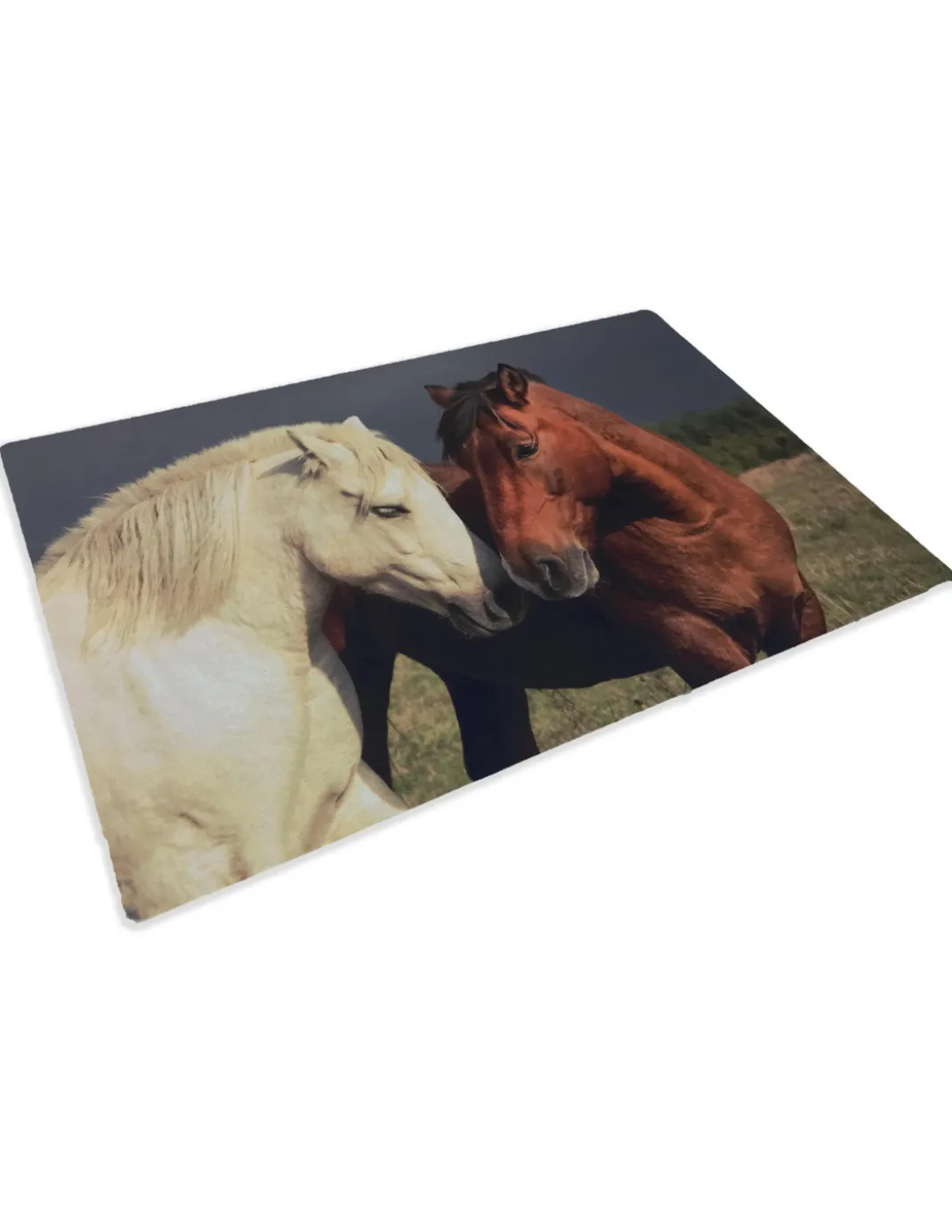 TAPPETO ZERBINO DIGITAL FRIENDS CM.40X60 CAVALLO CAVALLI