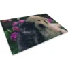 TAPPETO ZERBINO DIGITAL FRIENDS CM.40X60 CANE GATTO FIORE