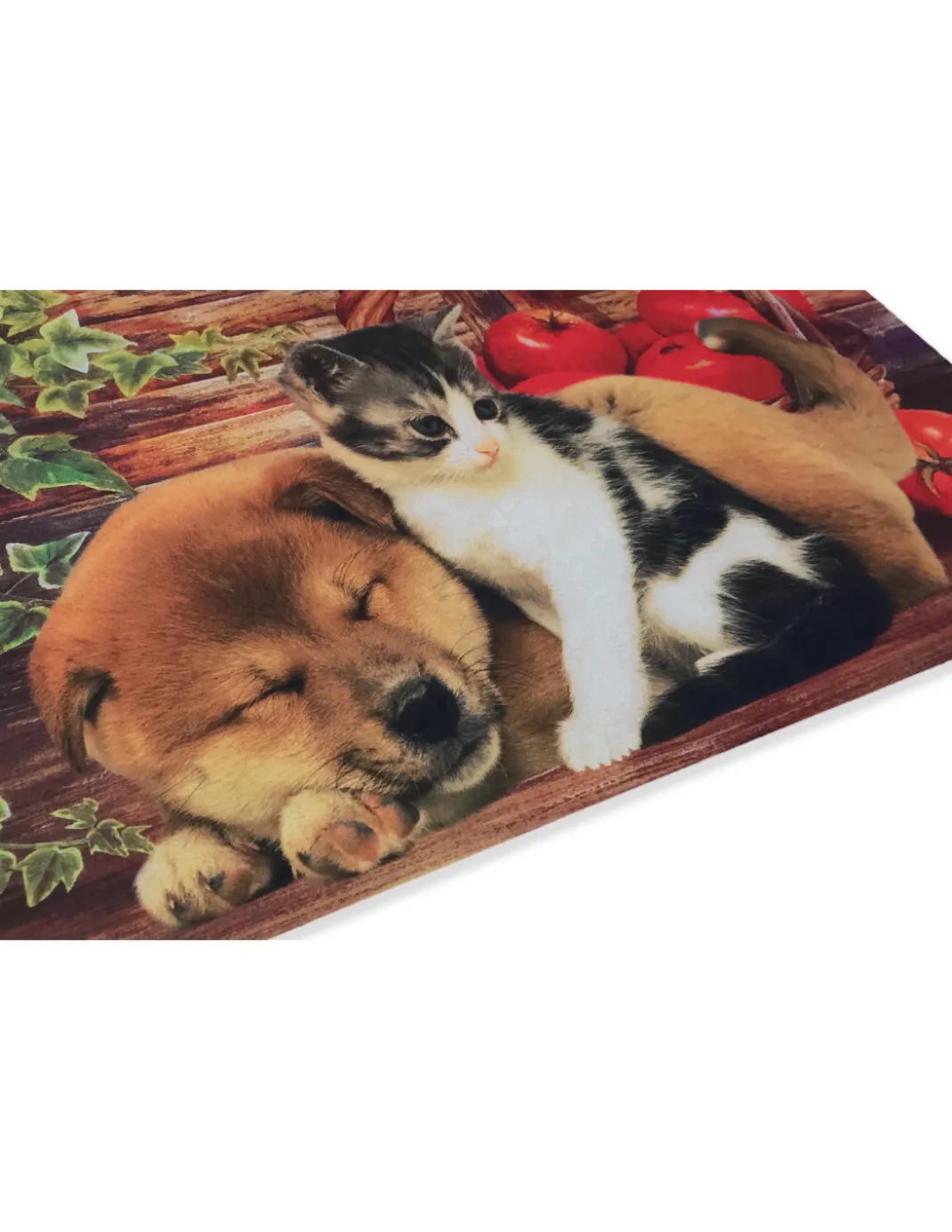 TAPPETO ZERBINO DIGITAL FRIENDS CM.40X60 CANE GATTO CESTO