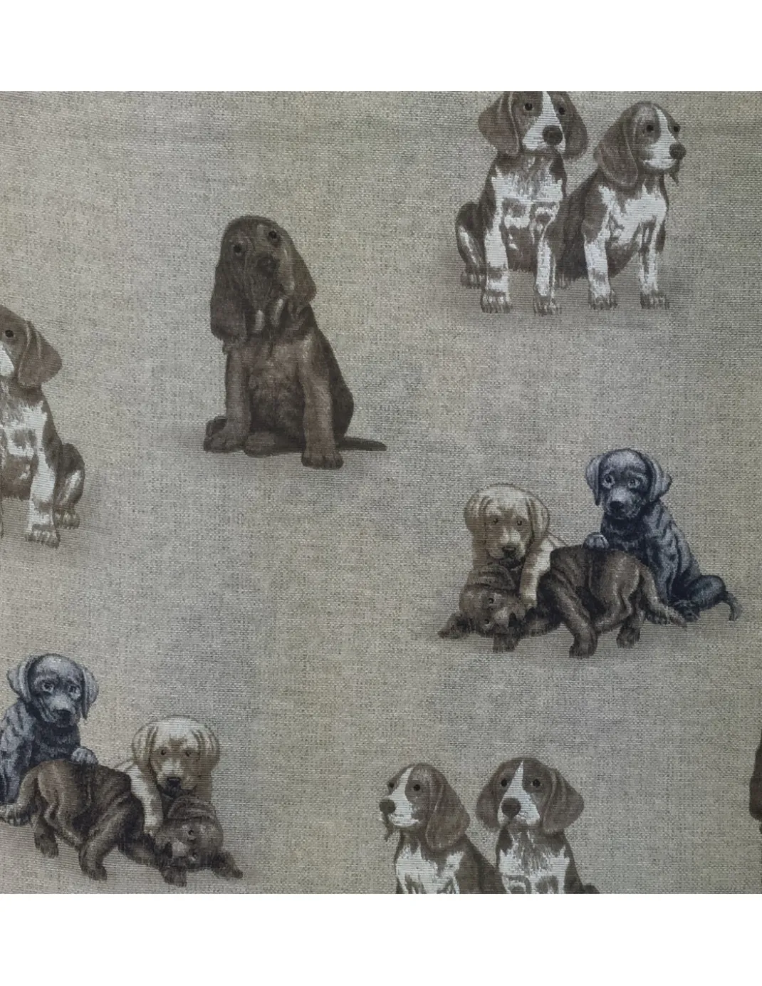 TELO ARREDO COPRITUTTO GRAN FOULARD COPRILETTO COPRIDIVANO TESSUTO LONETA CANE CANI