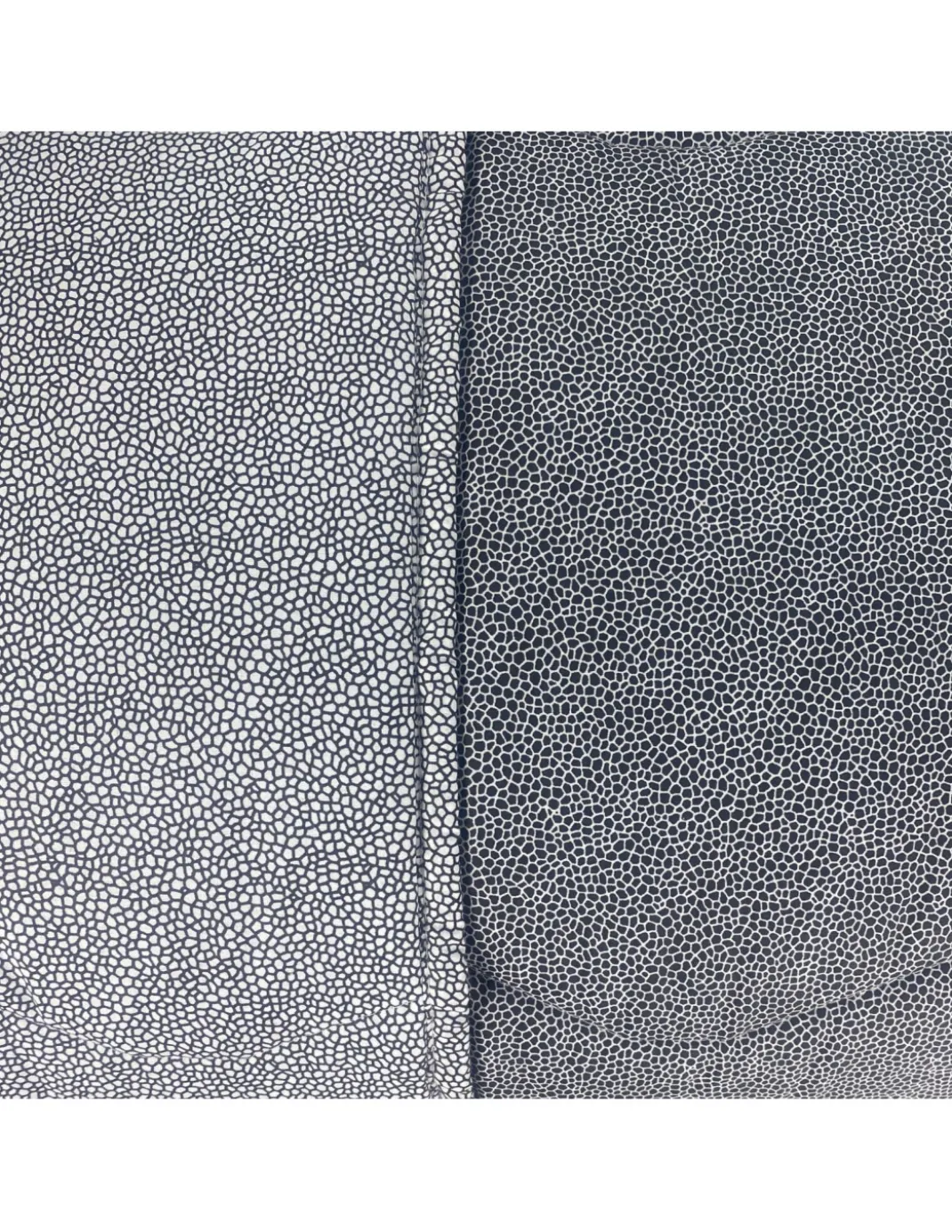 TRAPUNTA KOT © dis. BOY grigio Nero MADE IN ITALY puro COTONE